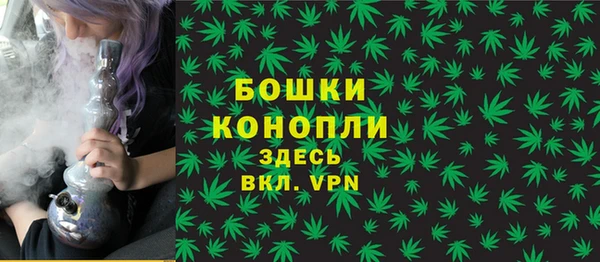 прущие крисы Белокуриха