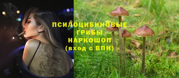 мяу мяу мука Семикаракорск