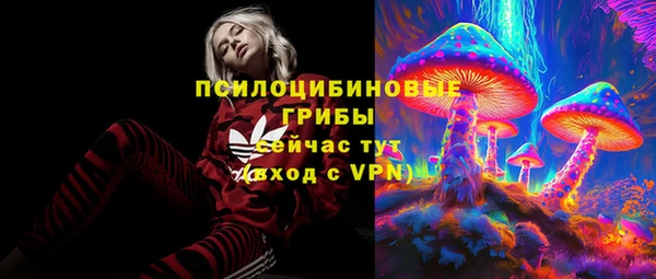 прущие крисы Белокуриха