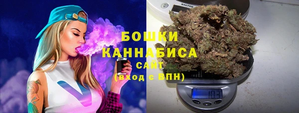 прущие крисы Белокуриха