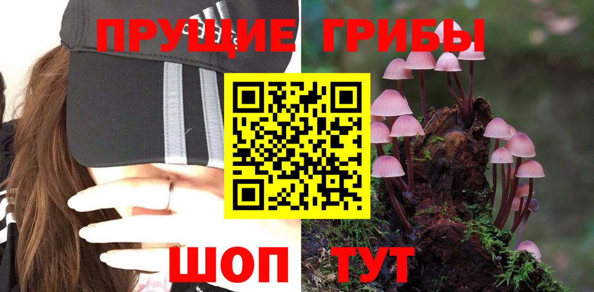 Воркута  Галлюциногенные грибы GOLDEN TEACHER  Вход с VPN  Псилоцибиновые грибы прущие грибы 